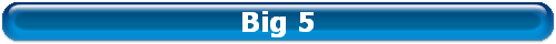 Big 5