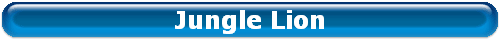 Jungle Lion