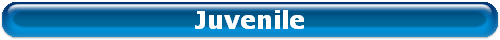 Juvenile