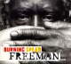 Freeman (2003)